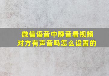 微信语音中静音看视频对方有声音吗怎么设置的