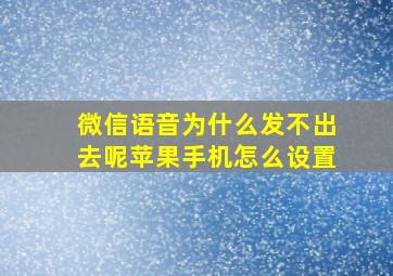 微信语音为什么发不出去呢苹果手机怎么设置