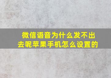 微信语音为什么发不出去呢苹果手机怎么设置的