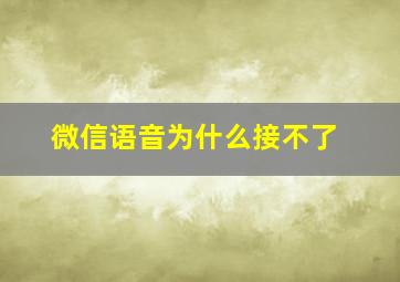 微信语音为什么接不了