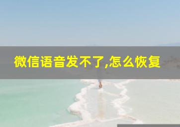 微信语音发不了,怎么恢复