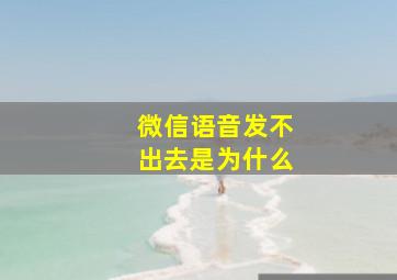 微信语音发不出去是为什么