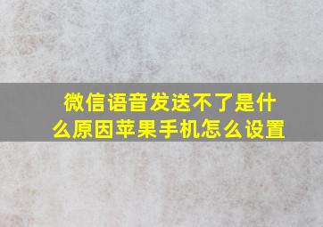 微信语音发送不了是什么原因苹果手机怎么设置