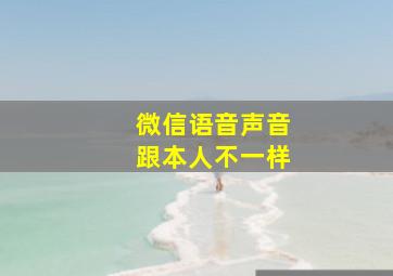 微信语音声音跟本人不一样