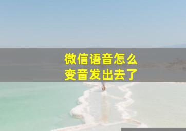 微信语音怎么变音发出去了