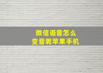 微信语音怎么变音呢苹果手机