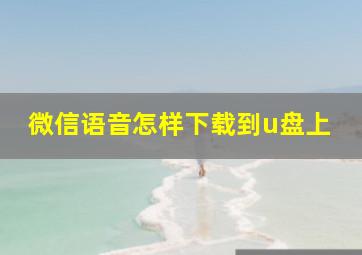 微信语音怎样下载到u盘上