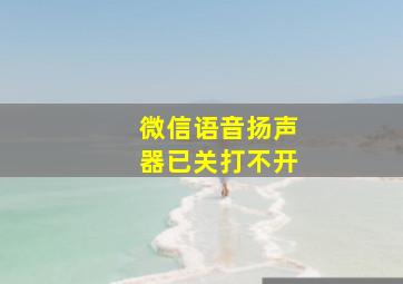 微信语音扬声器已关打不开