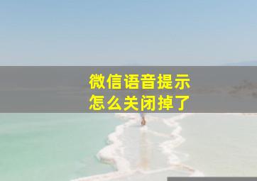 微信语音提示怎么关闭掉了