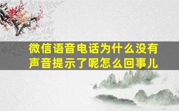 微信语音电话为什么没有声音提示了呢怎么回事儿