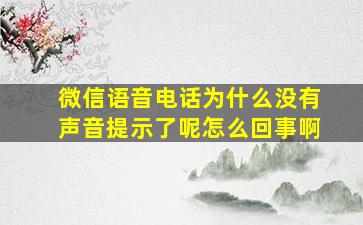 微信语音电话为什么没有声音提示了呢怎么回事啊