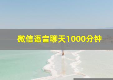 微信语音聊天1000分钟