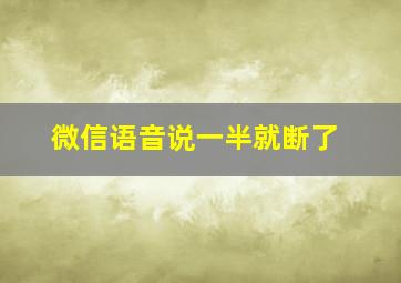 微信语音说一半就断了