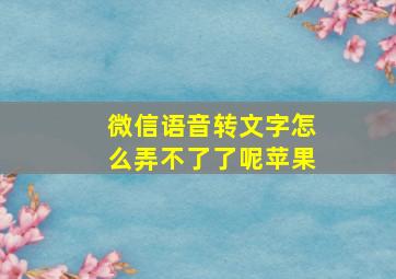 微信语音转文字怎么弄不了了呢苹果