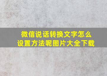 微信说话转换文字怎么设置方法呢图片大全下载