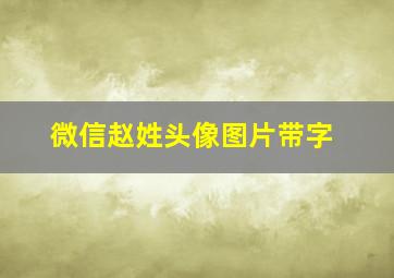 微信赵姓头像图片带字