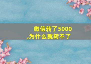 微信转了5000,为什么就转不了