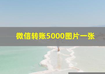 微信转账5000图片一张