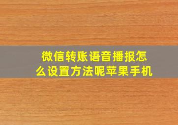 微信转账语音播报怎么设置方法呢苹果手机