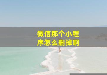 微信那个小程序怎么删掉啊