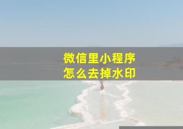 微信里小程序怎么去掉水印