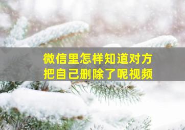 微信里怎样知道对方把自己删除了呢视频