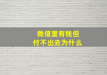 微信里有钱但付不出去为什么