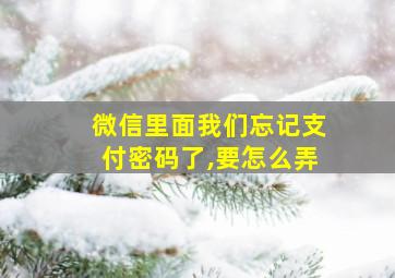 微信里面我们忘记支付密码了,要怎么弄