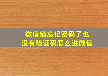 微信锁忘记密码了也没有验证码怎么进微信