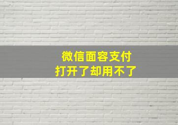 微信面容支付打开了却用不了