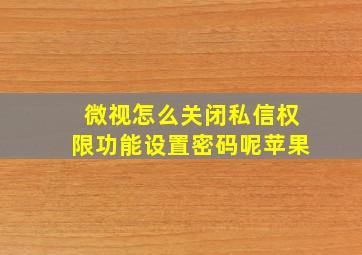 微视怎么关闭私信权限功能设置密码呢苹果