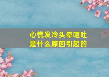 心慌发冷头晕呕吐是什么原因引起的