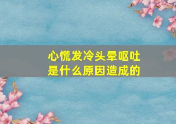 心慌发冷头晕呕吐是什么原因造成的