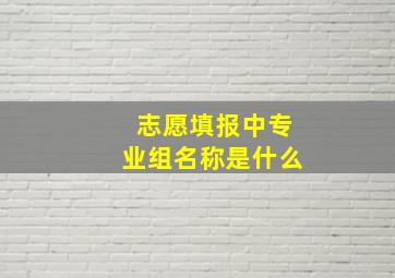 志愿填报中专业组名称是什么