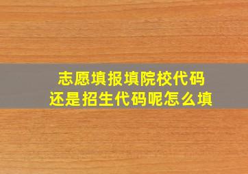 志愿填报填院校代码还是招生代码呢怎么填