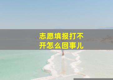 志愿填报打不开怎么回事儿