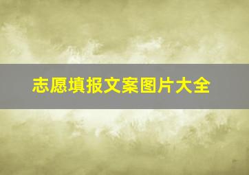 志愿填报文案图片大全