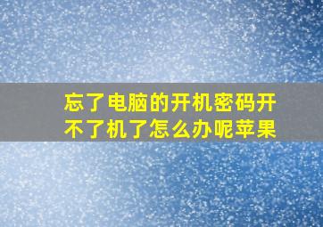 忘了电脑的开机密码开不了机了怎么办呢苹果