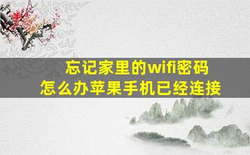 忘记家里的wifi密码怎么办苹果手机已经连接