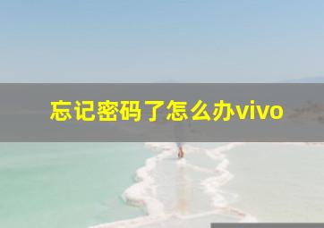 忘记密码了怎么办vivo