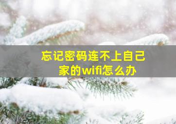 忘记密码连不上自己家的wifi怎么办