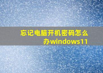 忘记电脑开机密码怎么办windows11