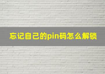 忘记自己的pin码怎么解锁