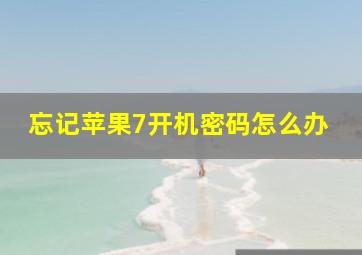 忘记苹果7开机密码怎么办