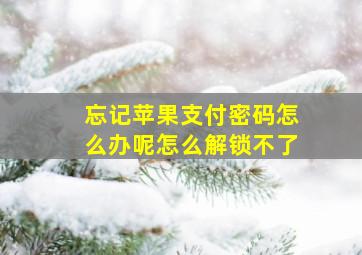 忘记苹果支付密码怎么办呢怎么解锁不了