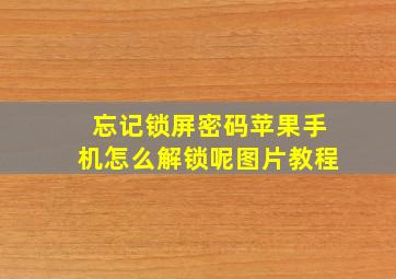 忘记锁屏密码苹果手机怎么解锁呢图片教程