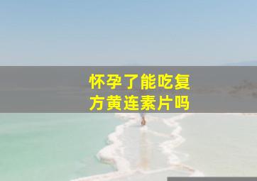 怀孕了能吃复方黄连素片吗