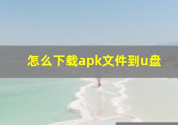 怎么下载apk文件到u盘