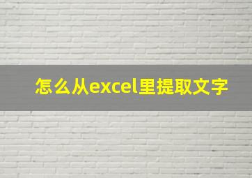 怎么从excel里提取文字