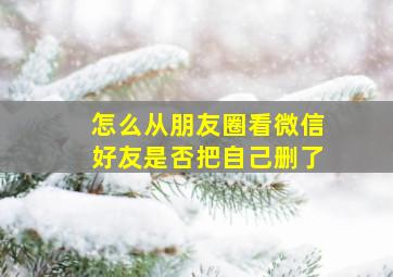 怎么从朋友圈看微信好友是否把自己删了